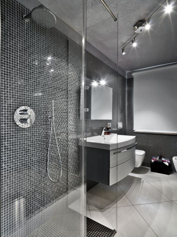 Contemporary Shower with Accessories